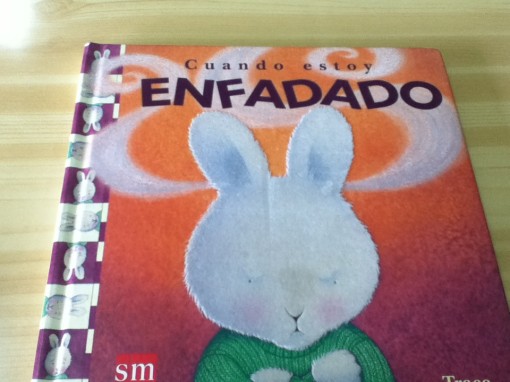 Book I used to study Spanish 